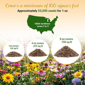 Beauty Beyond Belief bulk 1 oz seed packet for full garden coverage