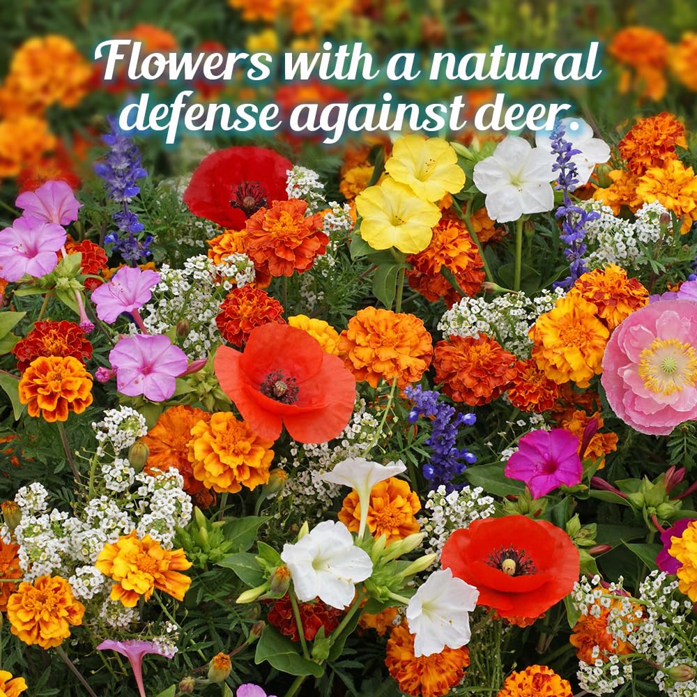 Beauty Beyond Belief deer-resistant mix supports garden borders with deer-avoidance potential.
