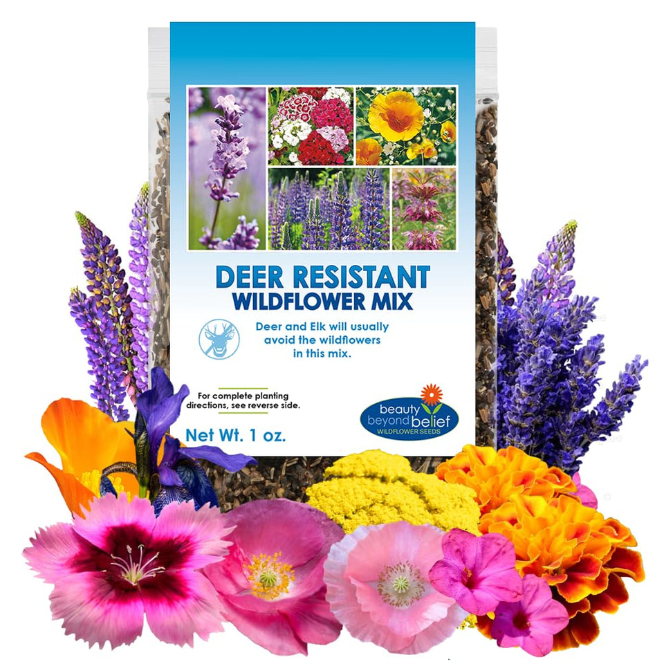 Beauty Beyond Belief deer-resistant wildflower seeds 1oz ready to plant for vibrant, low-maintenance borders.