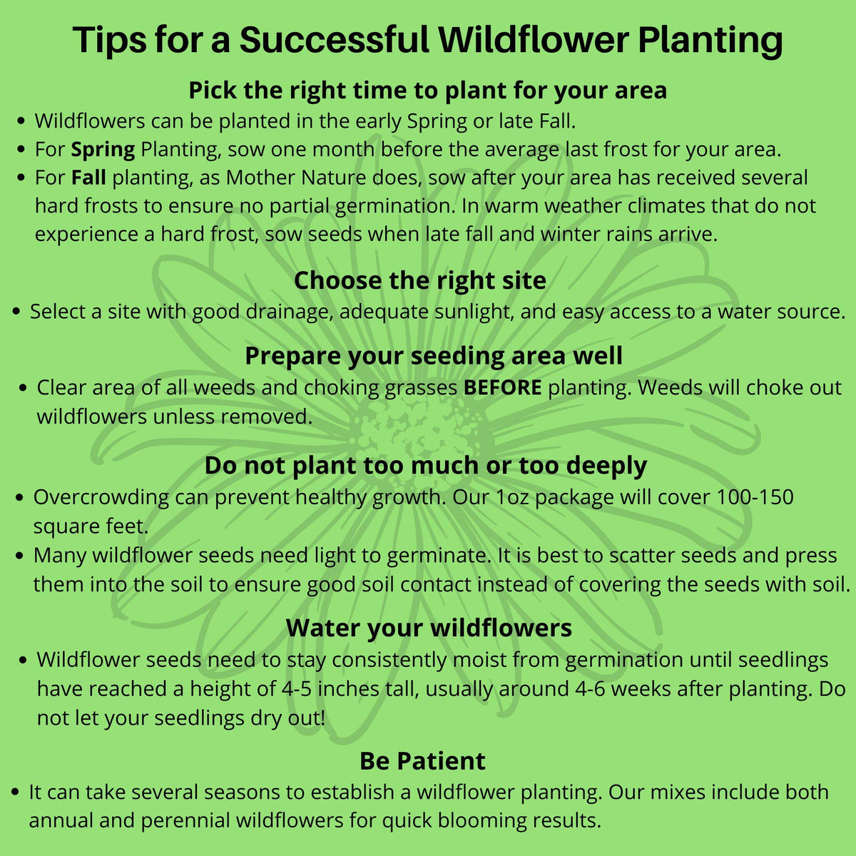 Beauty Beyond Belief diverse wildflower blend, supports year-round sowing and habitat.