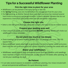 Beauty Beyond Belief diverse wildflower blend, supports year-round sowing and habitat.