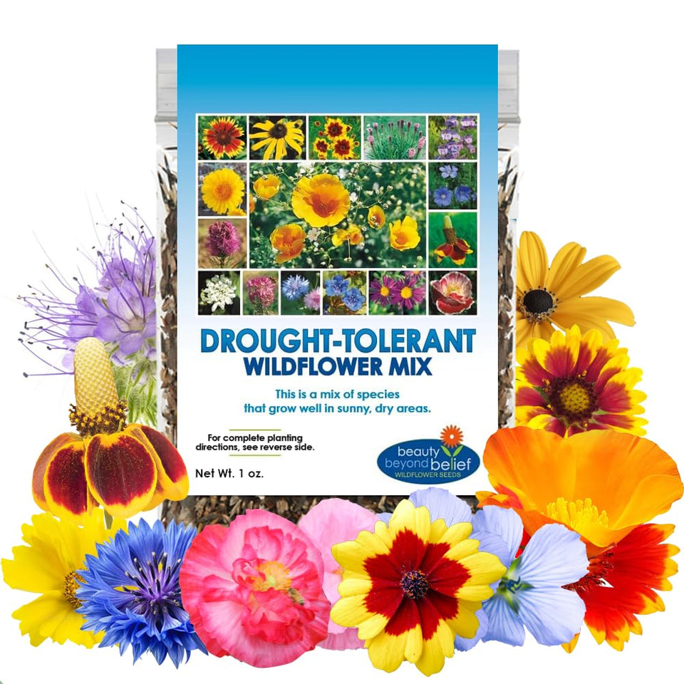 Beauty Beyond Belief drought-wildflower seed mix for sunny gardens