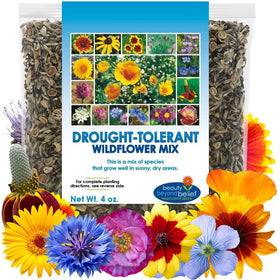 Beauty Beyond Belief drought-wildflower-seeds 4oz pack supports drought-tolerant gardens and pollinator habitats.