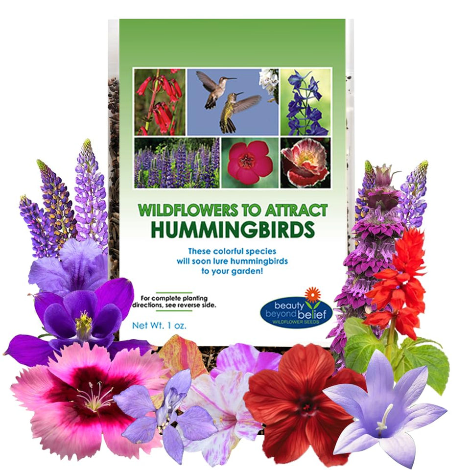 Beauty Beyond Belief hummingbird nectar seeds packet front, premium open-pollinated blend for pollinator gardens.