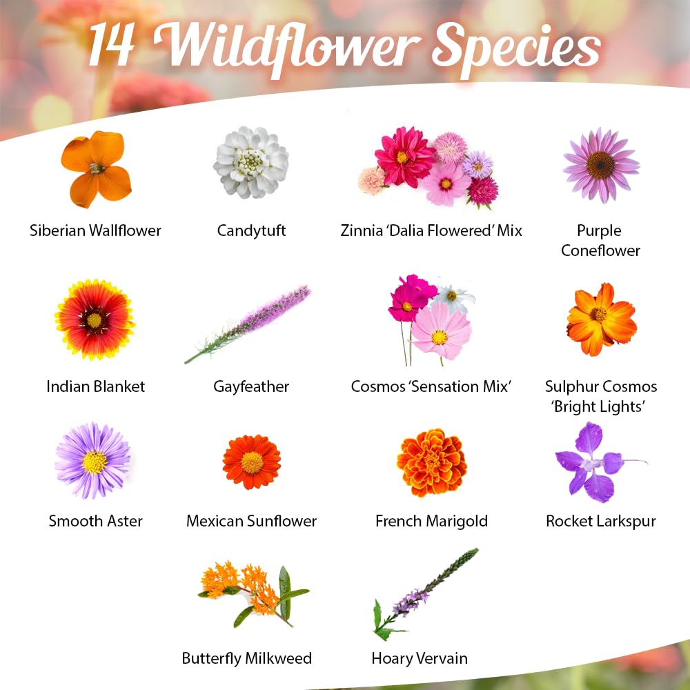 Beauty Beyond Belief Monarch Butterfly Rescue seed packet back with planting guide.