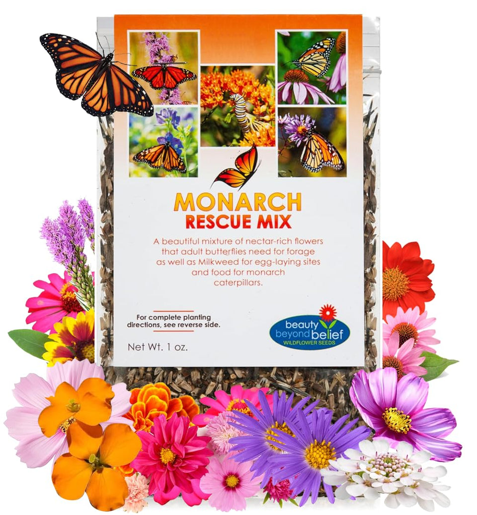 Beauty Beyond Belief Monarch Butterfly Rescue seed packet front showing open-pollinated mix for pollinators.