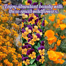 Beauty Beyond Belief non-GMO seeds support eco friendly planting