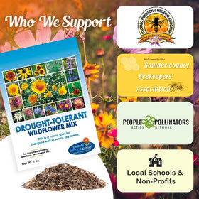 Beauty Beyond Belief non-GMO wildflower seeds for drought-tolerant beds