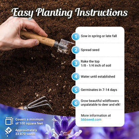 Beauty Beyond Belief open-pollinated seeds offer reliable germination and genetic variety.
