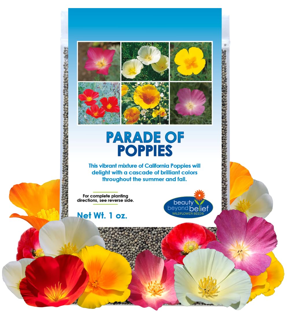Beauty Beyond Belief parade of poppy seeds packaging ready for garden planting