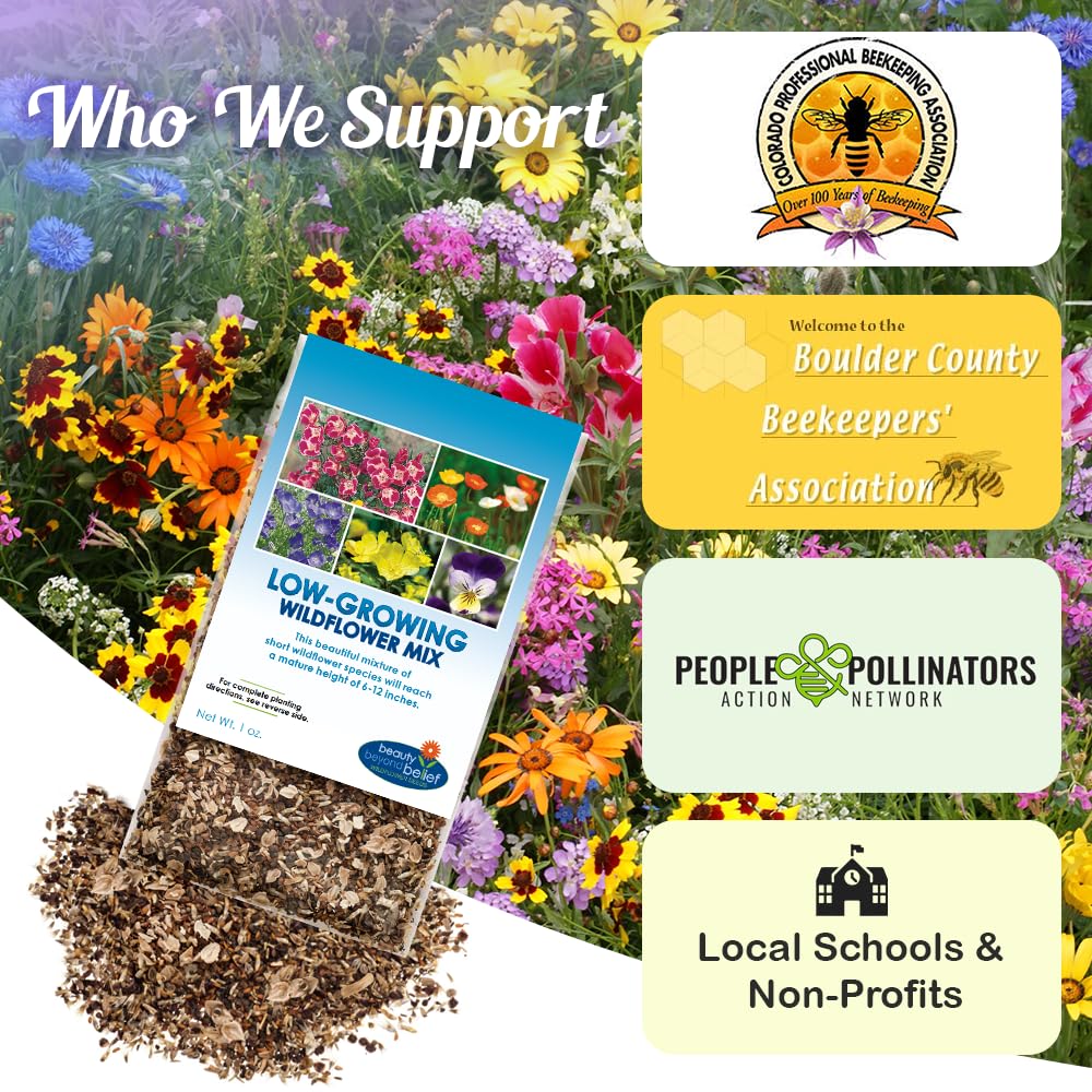 Beauty Beyond Belief pollinator friendly wildflowers attract bees and butterflies