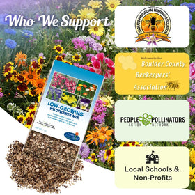 Beauty Beyond Belief pollinator friendly wildflowers attract bees and butterflies