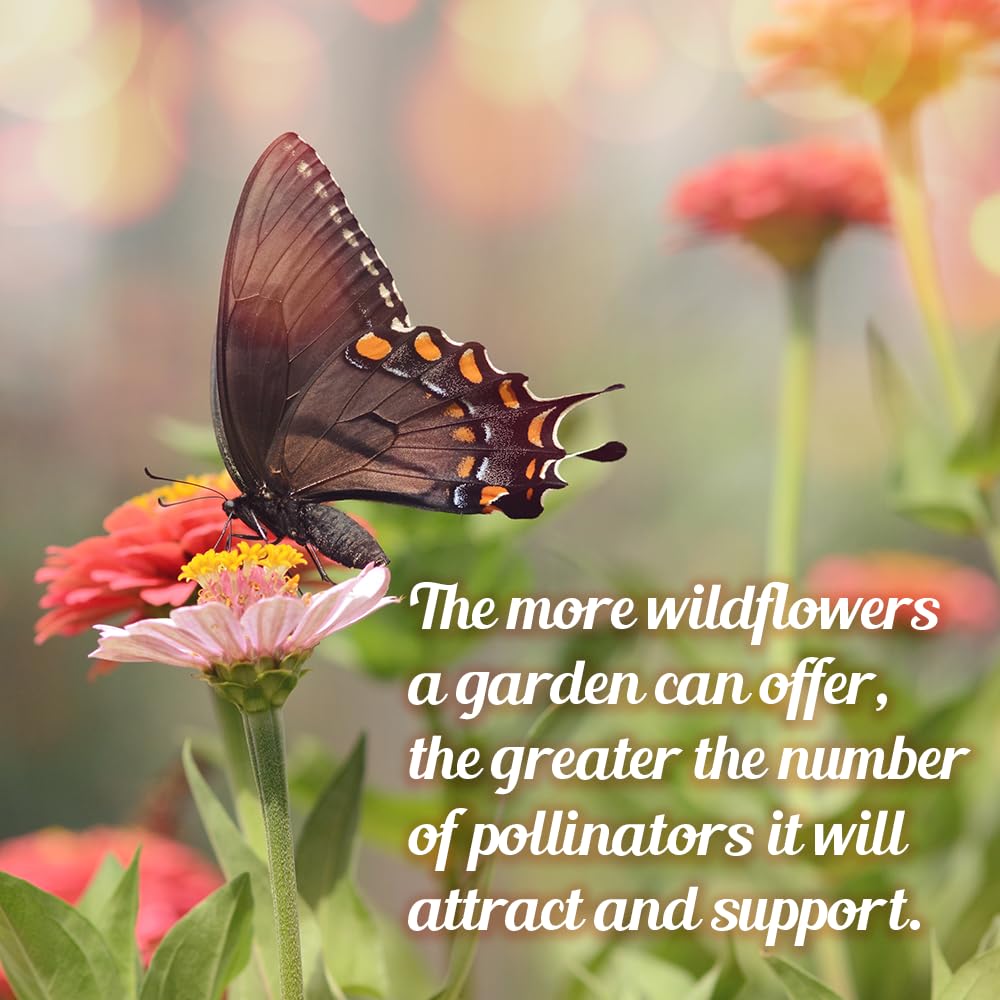Beauty Beyond Belief milkweed and wildflowers support monarchs in landscapes.