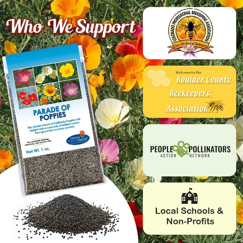 Beauty Beyond Belief reseeding wildflowers extend bloom season naturally