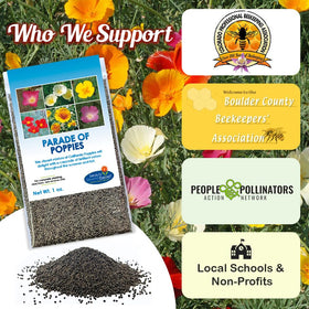 Beauty Beyond Belief reseeding wildflowers extend bloom season naturally