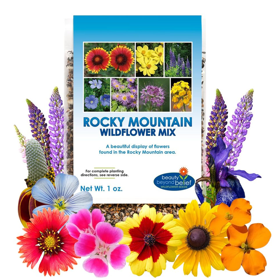 Beauty Beyond Belief rocky mountain wildflower seed mix 1oz packet ready for high-elevation planting.