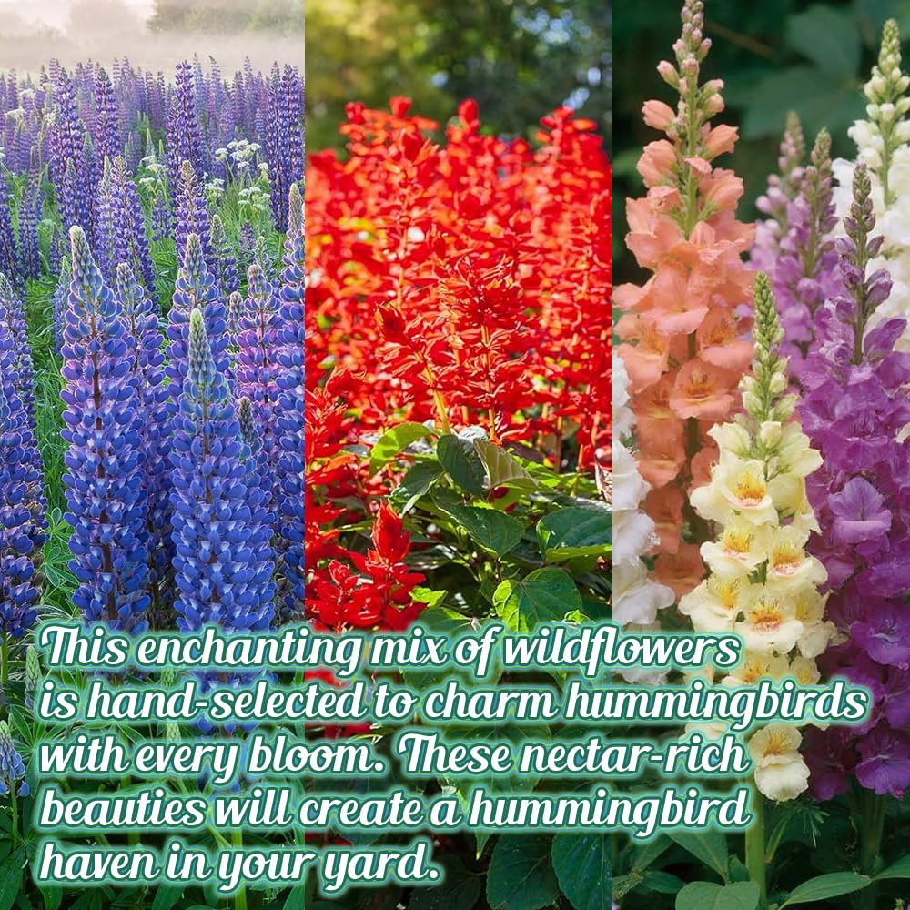 Beauty Beyond Belief wildflower border bloom, lush perennials and annuals for year-round color.