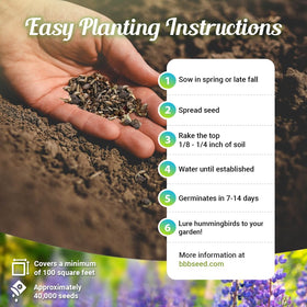 Beauty Beyond Belief wildflower garden planting, seeds ready for sowing in beds.