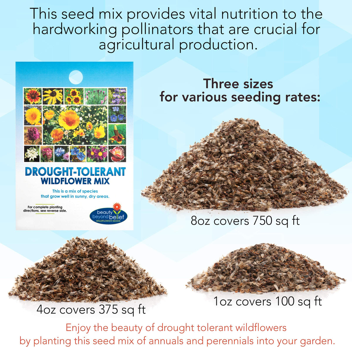 Perfect gift for gardeners seeking vibrant, pollinator-friendly landscapes.