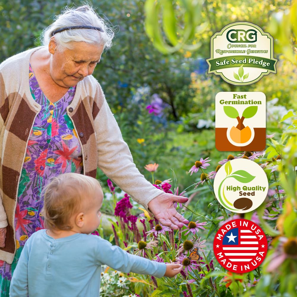 Beauty Beyond Belief pollinator garden blend visual for long-lasting blooms.
