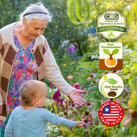 Beauty Beyond Belief pollinator garden blend visual for long-lasting blooms.