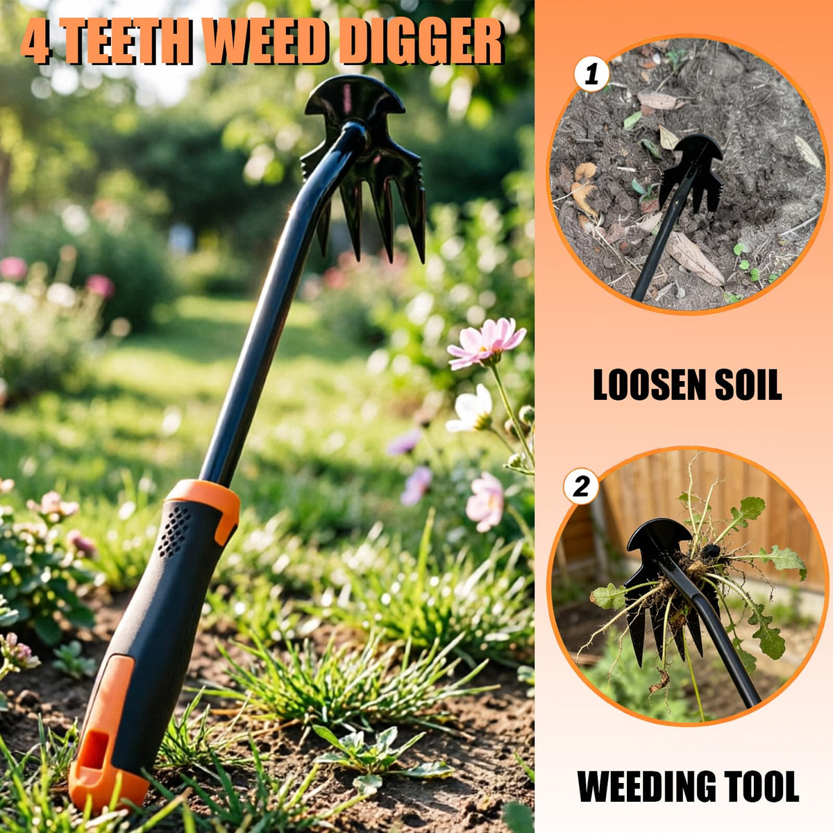 BeaverLodger 4-tine cultivator reaches tight spaces during weeding