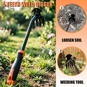BeaverLodger 4-tine cultivator reaches tight spaces during weeding