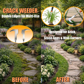 BeaverLodger crack weeder cleans patio and driveway cracks