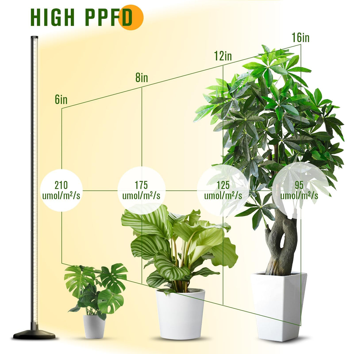 bedee aluminum shell and heavy base provide sturdy support