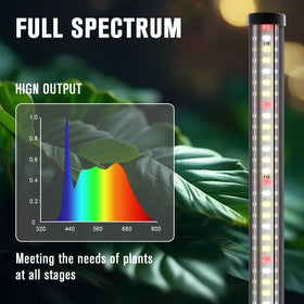 bedee grow light side-illumination delivering 120-degree coverage for even lighting