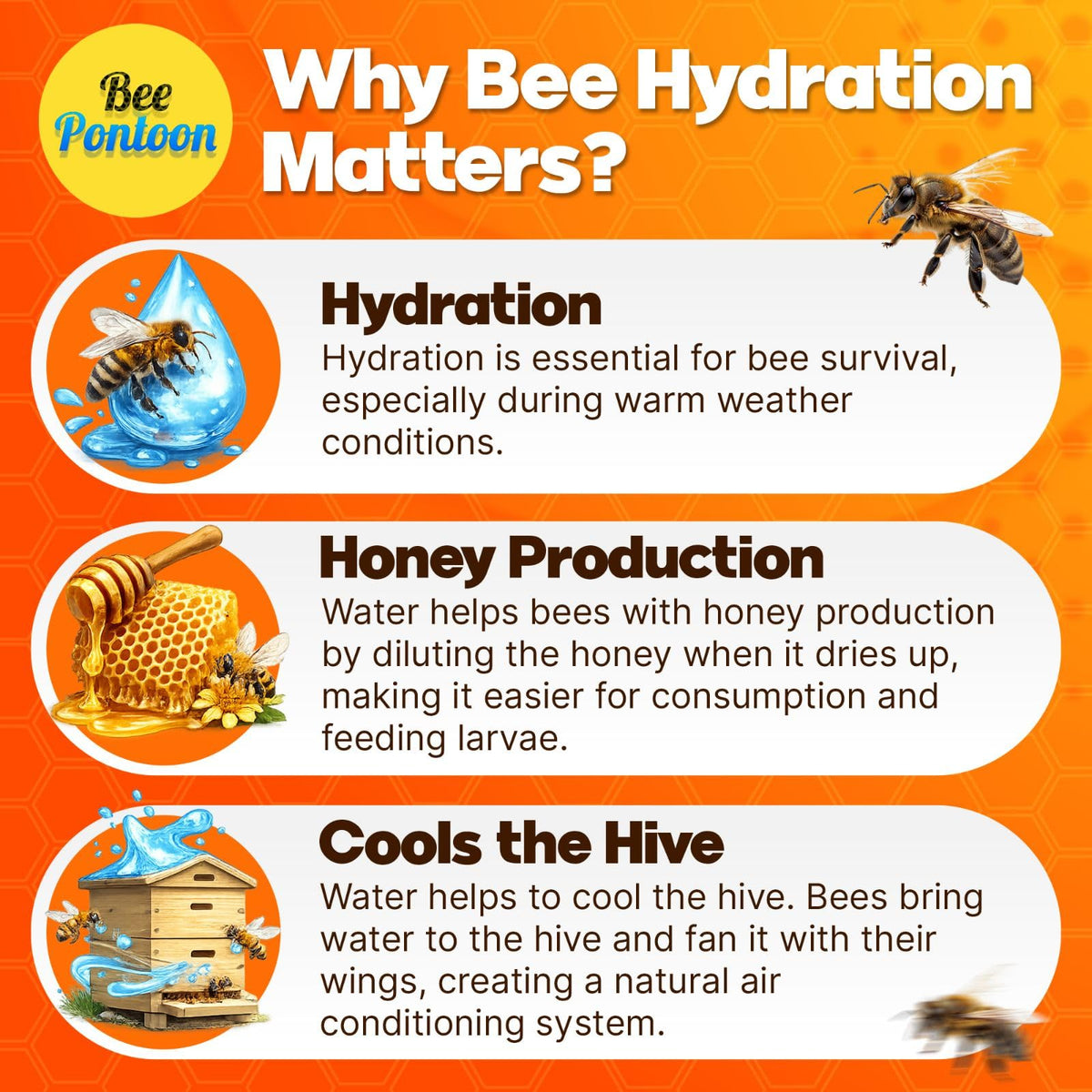 Bee Pontoon supports biodiversity by attracting bees and butterflies to your garden.