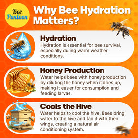 Bee Pontoon supports biodiversity by attracting bees and butterflies to your garden.