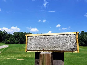 Bee-Quick pump spray in use; non-toxic aroma guides bees away safely