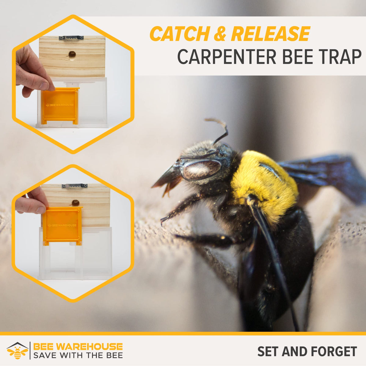 Bee Warehouse five bee dams included for immediate setup.