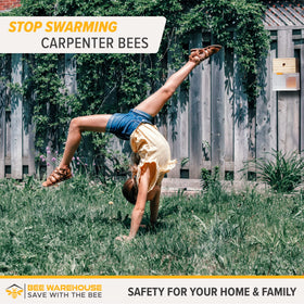 Bee Warehouse trap mounted outdoors with weather-ready design.