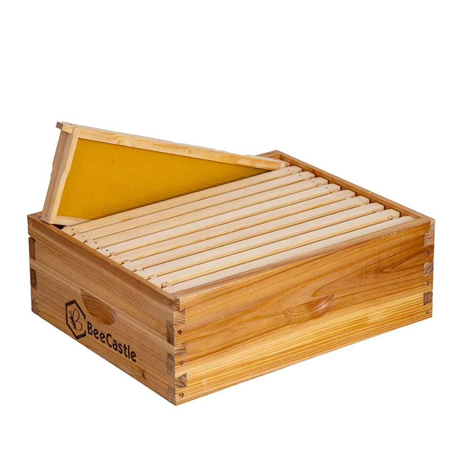 BeeCastle 10-frame medium super hive box in cedar for durable beekeeping.