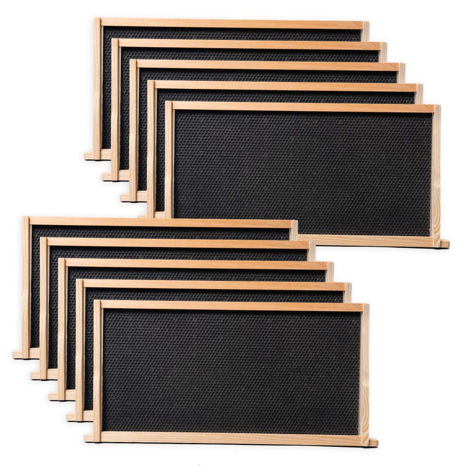 BeeCastle 10-pack deep brood frames with wax foundations for deep brood boxes
