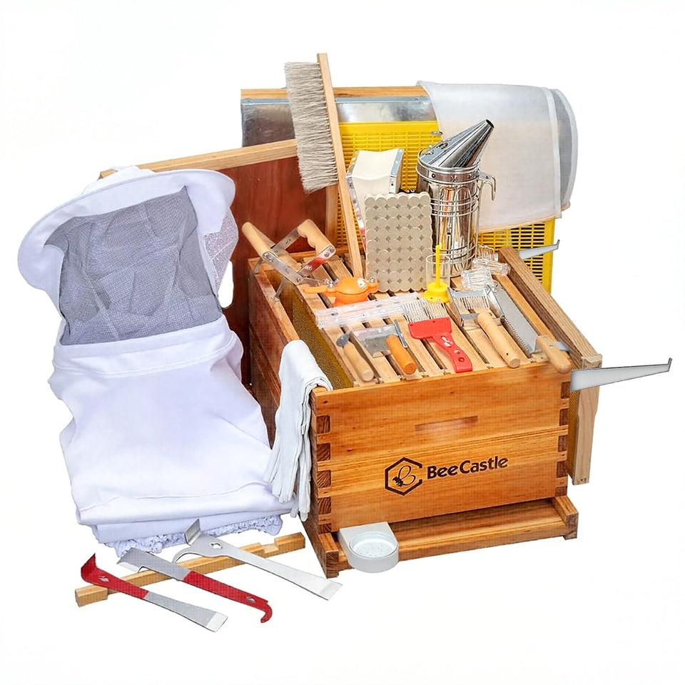 BeeCastle 10-frame hive kit assembly shows ready components for beginners
