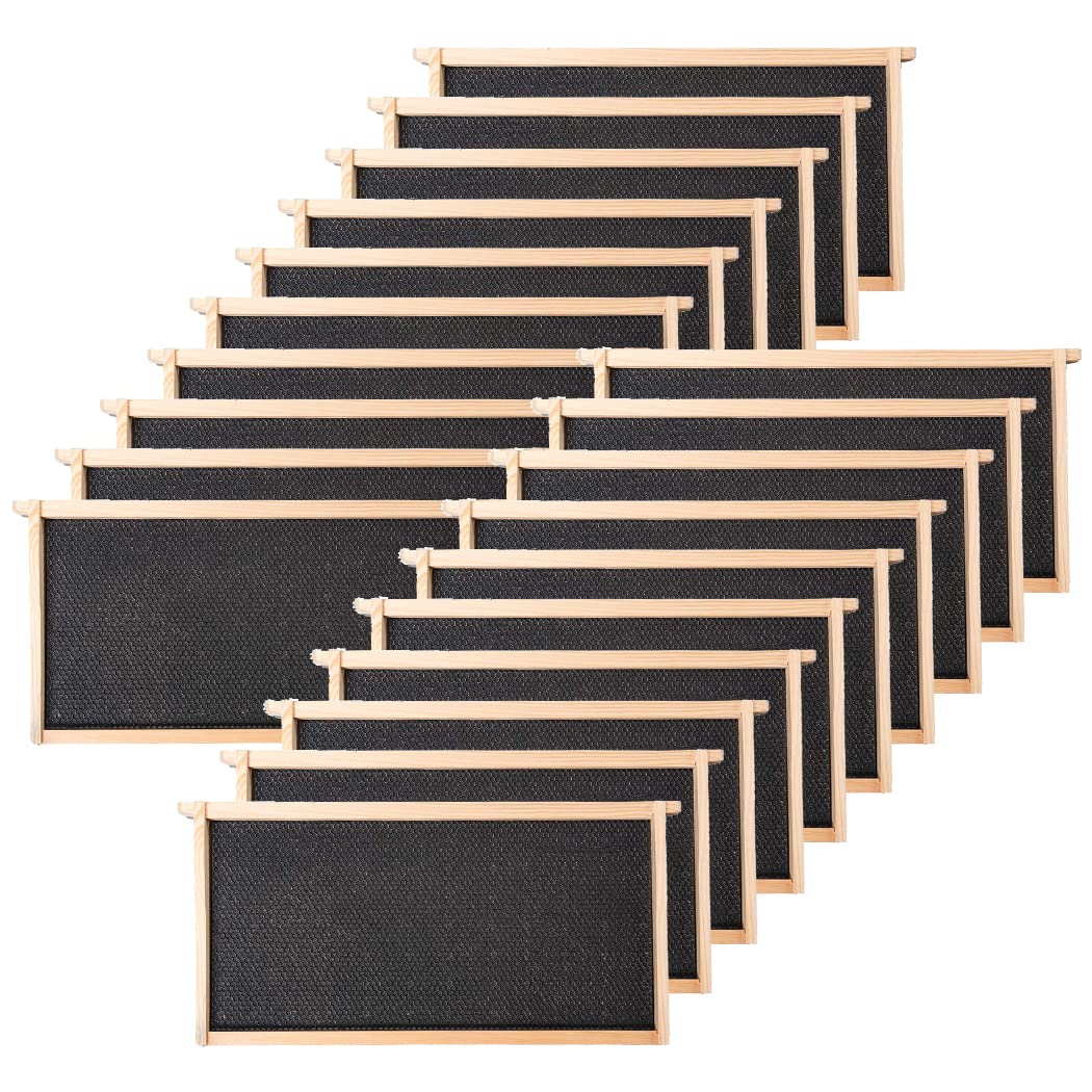 BeeCastle 20 pack deep hive frames with waxed foundations for Langstroth hives