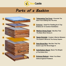 BeeCastle 8-frame Langstroth hive highlighting modular frames for easy assembly.
