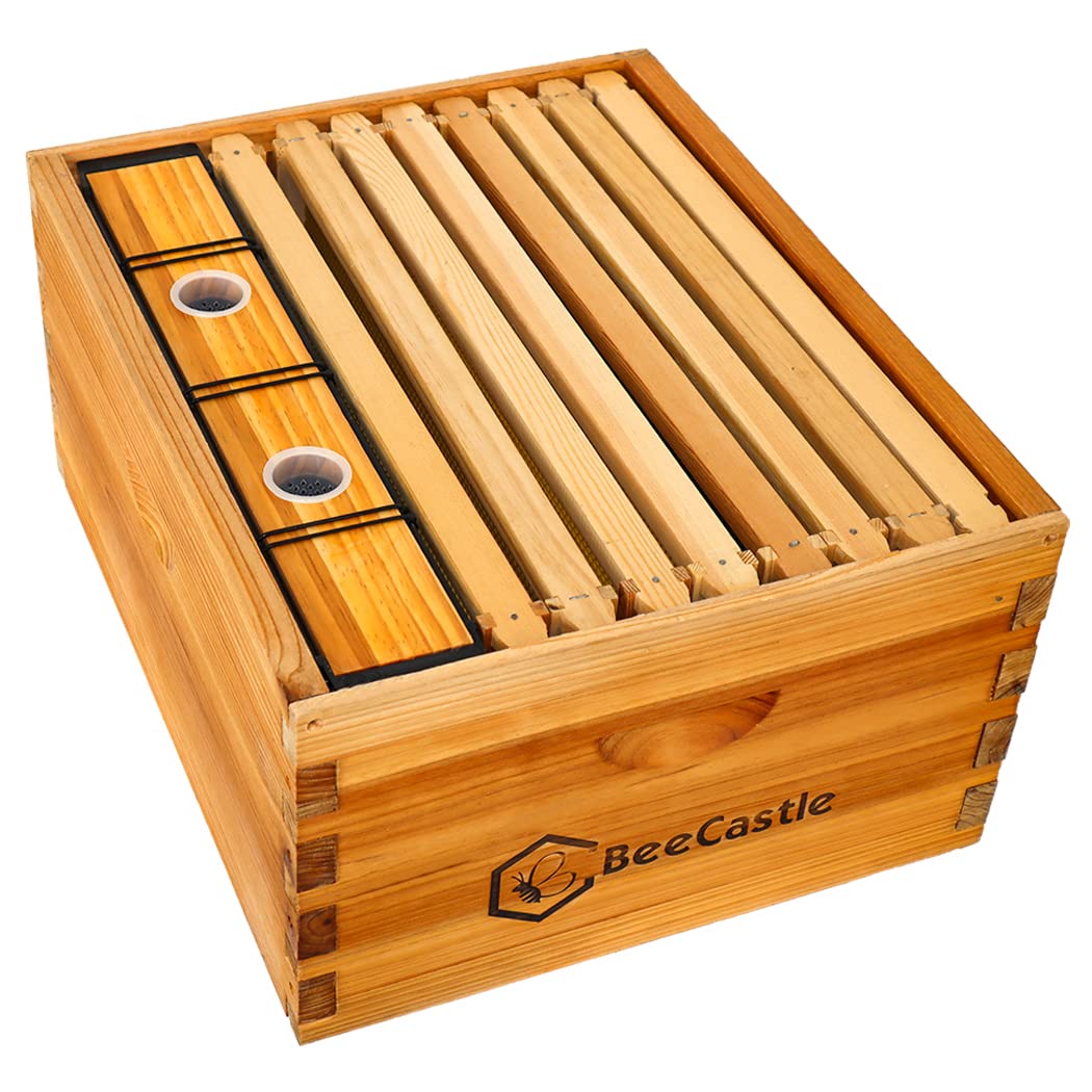BeeCastle Bee Pro Feeder dimensions 19x3.14x9.05 inches fit 2–3 frames.