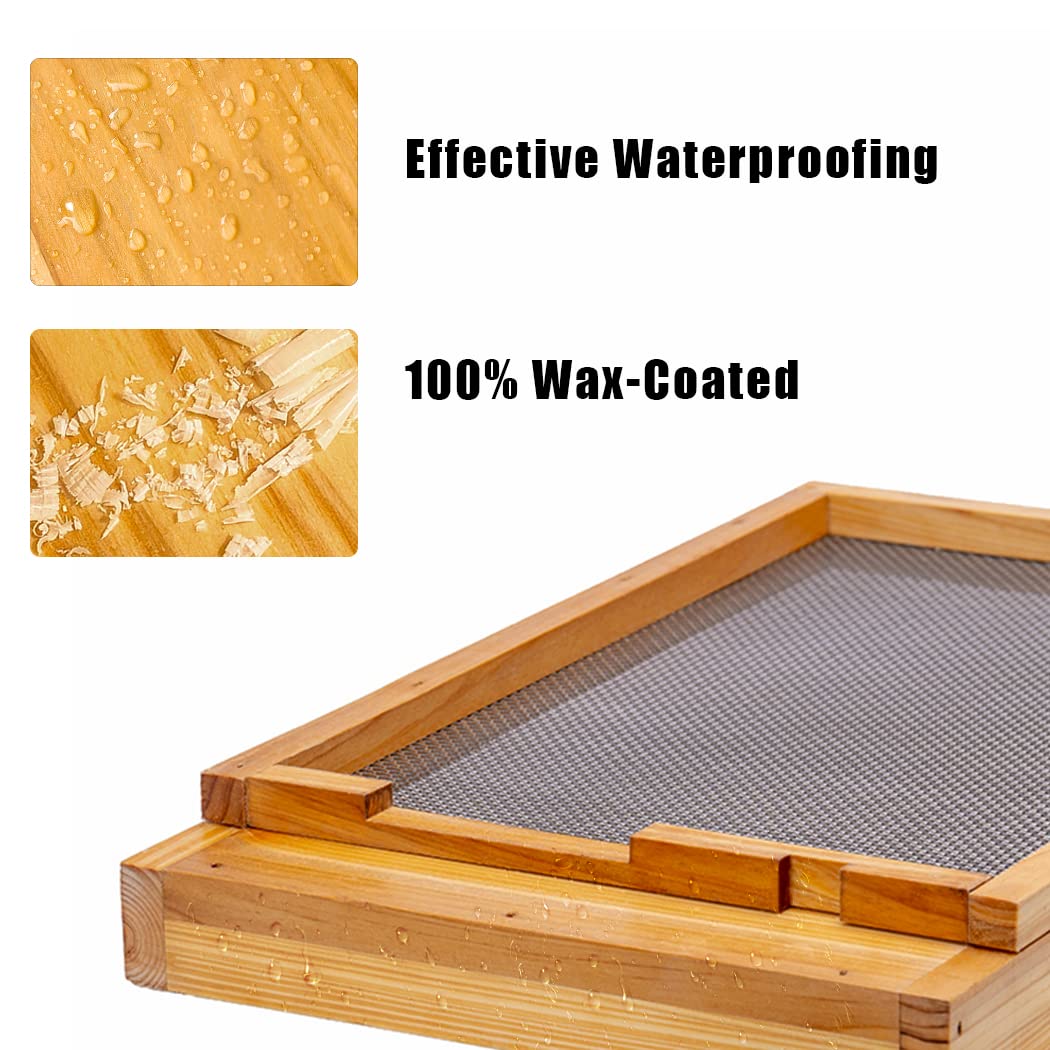 BeeCastle bottom board made from FSC certified wood supports sustainability