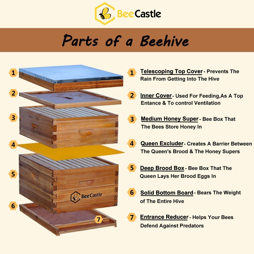 BeeCastle frames with beeswax foundation ready for installation