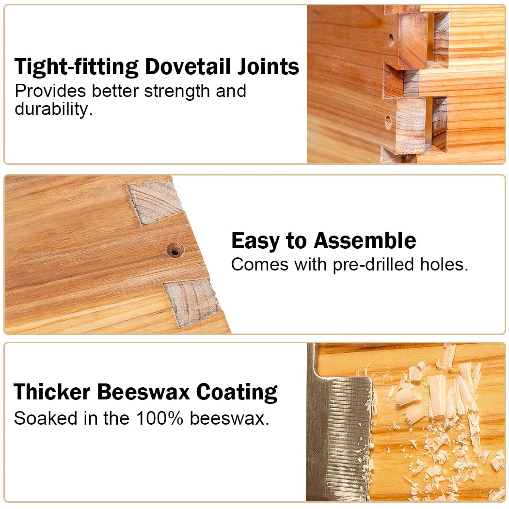 BeeCastle cedarwood hive box highlights sturdy construction resilient to weather.