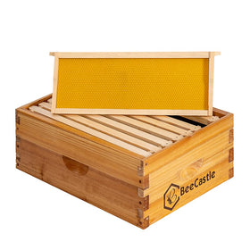 BeeCastle cedarwood hive box emphasizing sturdy, warp-resistant construction