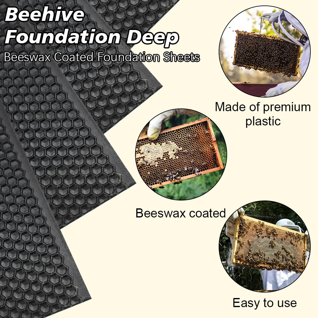 BeeCastle deep-frame 8-1-2-inch foundation sheet in use for easy setup.