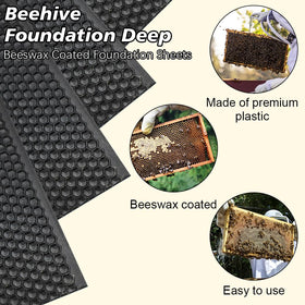 BeeCastle deep-frame 8-1-2-inch foundation sheet in use for easy setup.