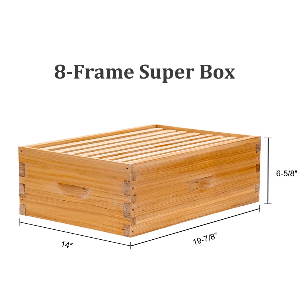 BeeCastle dovetail joints emphasize secure assembly and durability.