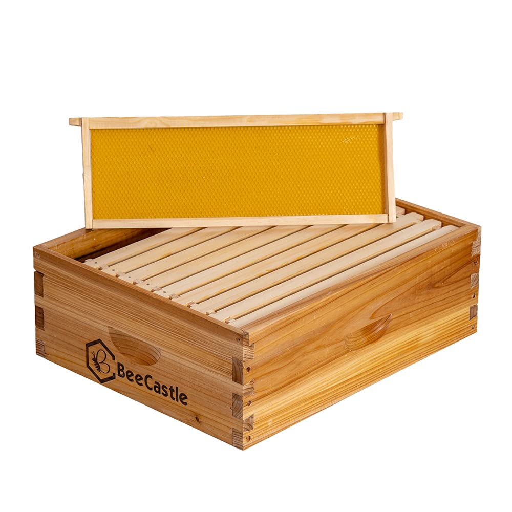 BeeCastle dovetail joint hive box shows secure, tight assembly.