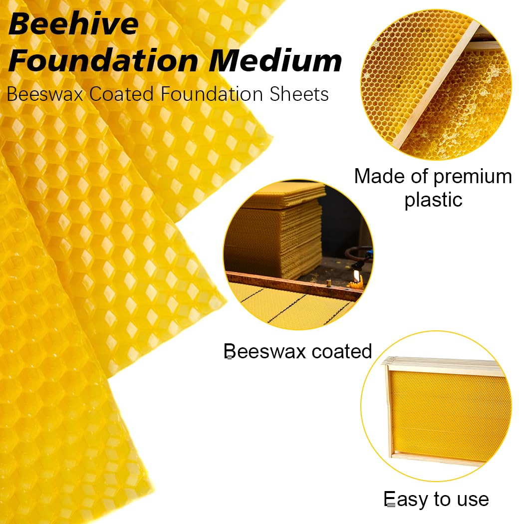 BeeCastle easy-slip foundation sheets sliding into grooved frames for quick setup